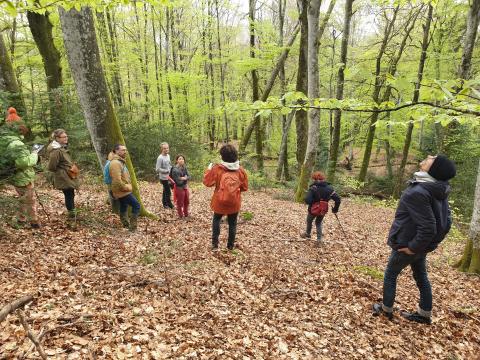 Visite des parcelles