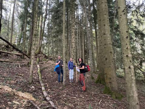 Fin du bornage au Mallot
