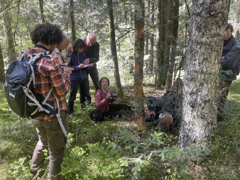 L'équipe studieuse observe la fécondation d'un insecte